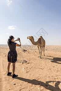 在沙漠中拍摄骆驼照片的女人图片