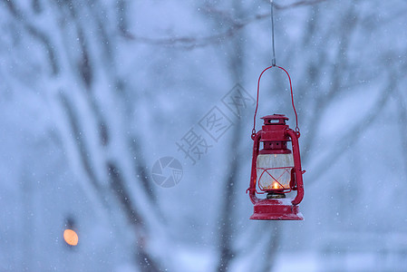 森林中的红灯 冬天下大雪的寒冬 窗户 快活的 霜图片