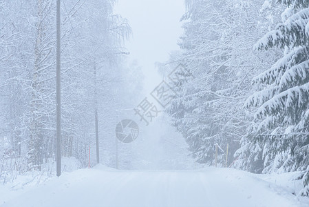 496号公路上铺满了大雪和恶劣天气 木头 霜图片