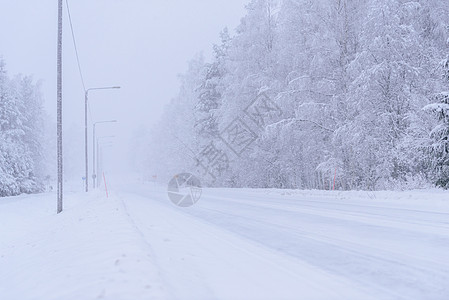 496号公路上铺满了大雪和恶劣天气 蓝色的 冷杉图片