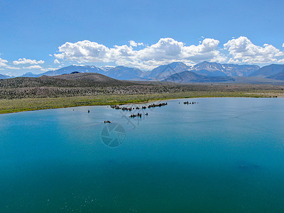 莫诺州莫诺湖与夏季塔法岩层的空中观察 莫诺州 山图片