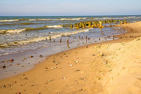 波兰波罗的海沿岸海滨的波 和防波断浪器图片