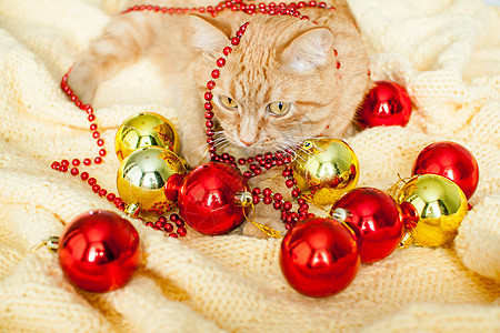 一只又肥又懒的姜猫躺在一条黄毛毯上 上面有新年的玩具 金球和红球 展示 圣诞老人图片