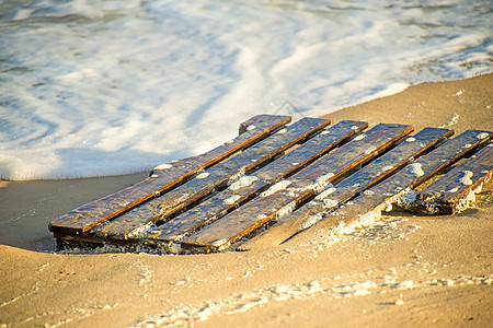 Driftwood 波罗的海海滩的调色板 支撑 波浪背景图片