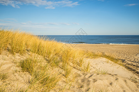 波罗的海孤单的海滩 清除 天空 空的 孤独 牧歌 寂寞图片