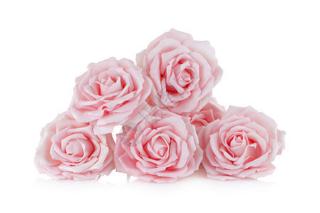 粉红纸玫瑰 白色 有反光图片