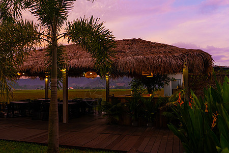 在热带地区美丽的粉色日落 干草的街道树冠 有稻田风景的厨房区 别墅 奢华图片