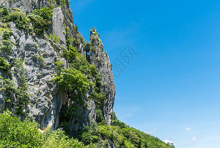 的鳄鱼或鳄鱼山或山 岩石 运河 夏天 河 泰国 树图片