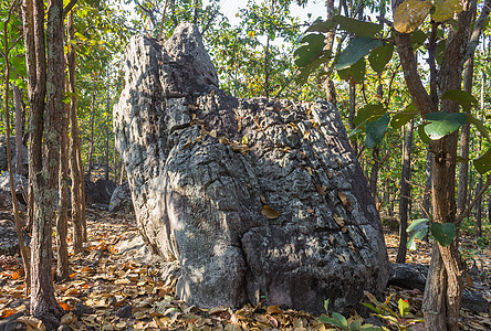 泰国北部Phayao吸引物的坐地石或岩石 景点 地标图片