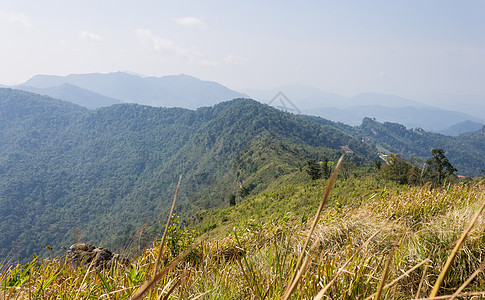 Phu Chi Fa森林公园 草地绿山天空和C 假期 树图片