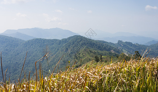 Phu Chi Fa森林公园 草地绿山天空和C 泰国 爬坡道图片