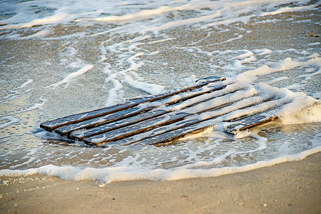 Driftwood 波罗的海海滩的调色板 假期 波浪背景图片