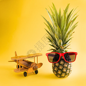太阳眼镜上的菠萝 与模型平面相配 玩具 乐趣图片