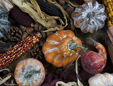 季节性秋天装饰品 包括南瓜 果酱和可可图片