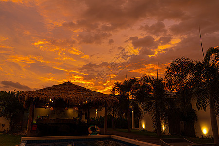 热带地区美丽的橙色炎热日落 草地旁边的街道树冠 俯瞰稻田 在泳池旁 晚上 天空图片