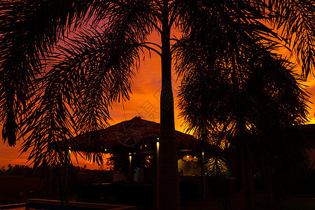 热带地区美丽的橙色炎热日落 草地旁边的街道树冠 俯瞰稻田 在泳池旁 游泳 天空图片