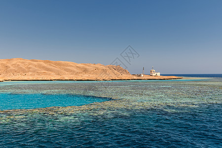 拥有珊瑚礁的小岛屿 清除 蓝色的 海洋 埃及 海岸线 石头图片