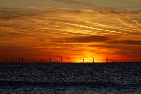 日落时海上风田 公园 生态 绿色的 假期 自然 风力涡轮机图片