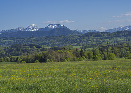 巴伐利亚阿尔卑斯山美丽的春天乡村山景 背景是村庄和白雪覆盖的山峰地块 德国巴伐利亚 房子 森林图片