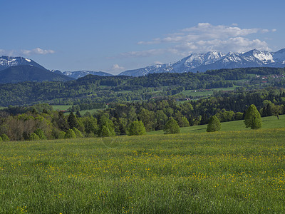 巴伐利亚阿尔卑斯山美丽的春天乡村山景 背景是村庄和白雪覆盖的山峰地块 德国巴伐利亚 草地 森林图片