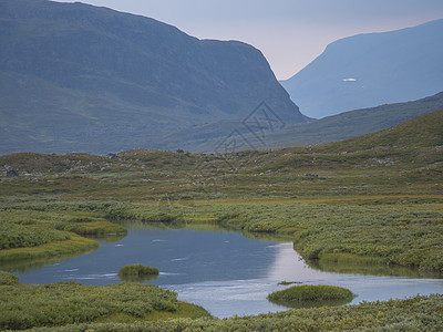 美丽的野生拉普兰自然景观 有蓝色冰川河流 白杨树丛 雪盖山峰和戏剧性云层 瑞典北部Kungsleden远足小道的夏季瑞典北部 岩图片