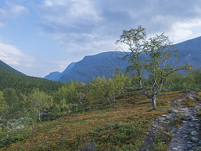 美丽的野生拉普兰自然景观 有Kungsleden徒步小路 树丛 山林和飞云 瑞典北部夏季 荒野图片