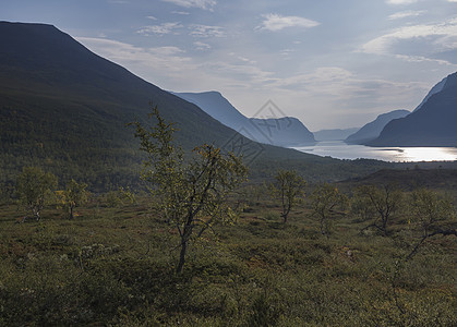 美丽的拉普兰野生自然景观 有蓝色的湖 白桦林和山脉 瑞典北部的夏天在远足径 蓝天背景图片