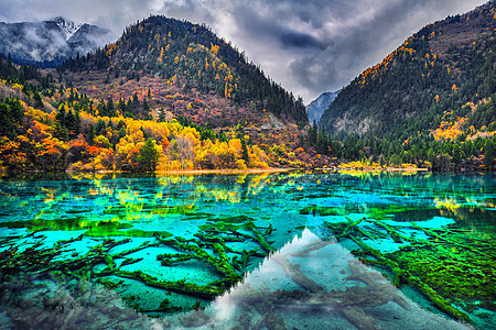 五花湖 Mul 水晶清水的惊人景象 风景 环境图片