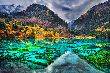 五花湖 Mul 水晶清水的惊人景象 风景 环境图片