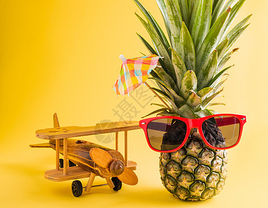 太阳眼镜上的菠萝 与模型平面相配 派对 杂志图片