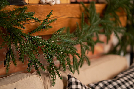 圣诞房间装饰品和圣诞树的绿色树枝图片