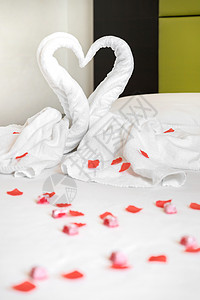 两条白毛巾天鹅在床上 夫妻 恋人 马夫 寝具 房间图片