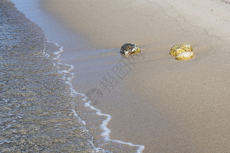 从海边的海景在夏季作为背景 海浪 海岸 美丽 晴天图片