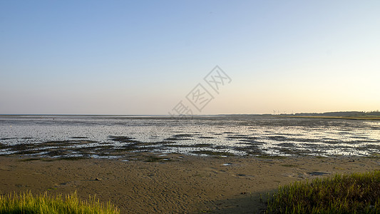 盐沼地 海岸 自然 有风的 娱乐 安静 地平线高清图片