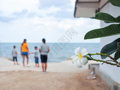 海和人背景上的白花 红的花朵图片