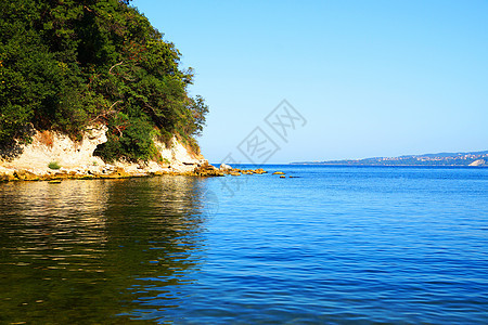 与海水中反映的森林相比 生长过度的岩石海岸 海景 石头图片