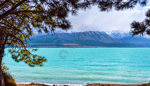 Pukaki NZ湖 边缘 国家 该死的 面粉 黄玉图片