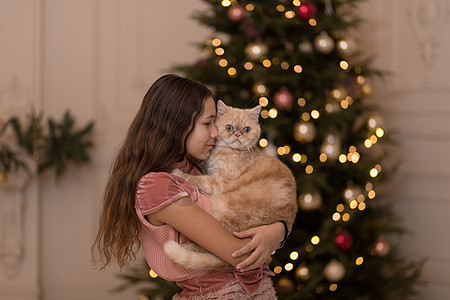 女孩和她的猫一起过圣诞节的 美丽的 女士 新年 关心图片