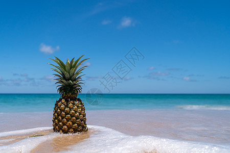 沙滩上的菠萝 蓝色的天空夏季概念 海洋 天堂图片