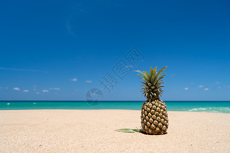 沙滩上的菠萝 蓝色的天空夏季概念 健康 水果图片