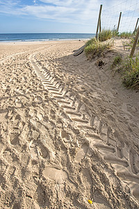 波罗的海海滩 带车轨 地平线 海洋 蓝色的 防波堤 植物图片