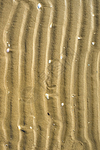 带足迹的海滩 落潮 宁静 曲目 户外的 假期 水图片