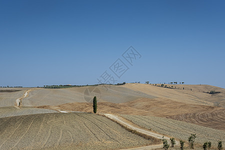意大利托斯卡纳美丽的夏日风景 爬坡道 国家 农家图片