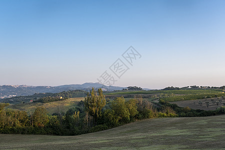 托斯卡纳 克里特岛 Senesi 土地的乡村景观 连绵起伏的丘陵 乡村农场 柏树 温暖日落的绿色田野 意大利锡耶纳 晴天 意大利图片