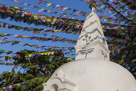 在尼泊尔寺庙 文化 神圣 观光 猴 朝圣 旗帜图片