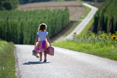 一个小女孩带着一个手提箱 在两田之间的公路上 假期 太阳图片