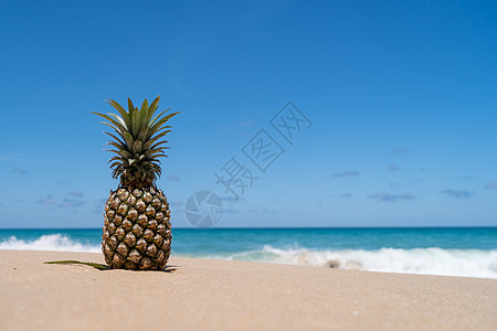 沙滩上的菠萝 蓝色天空夏季概念下的海水喷洒 支撑 甜的图片