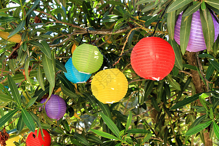 挂在树上的彩色圆灯笼 照明 东方 浪漫 节日图片