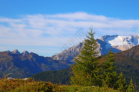 美丽的夏日风景 美妙的阿尔卑斯山和高山 多洛米特 意大利 欧洲 仙境 秋天图片