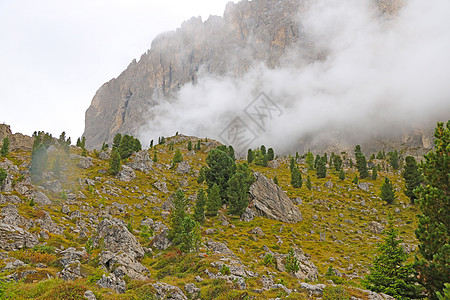意大利的多洛米山峰覆盖着雾 早期湿雾清晨 秋天开始 清洁新鲜空气 缺少人 选择性地集中关注点 远足 顶峰图片